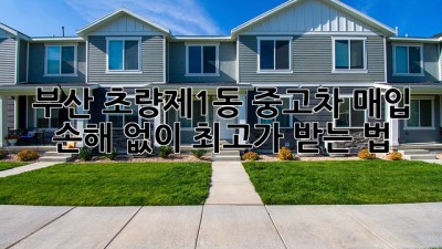 🚗 부산 초량제1동 중고차 매입, 손해 없이 최고가 받는 법! 💰